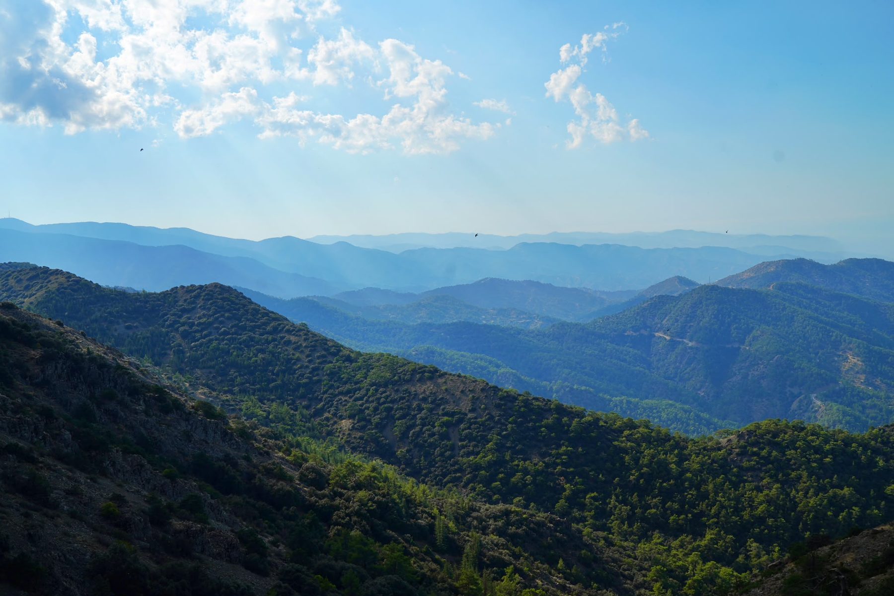 Las montañas de Troodos desde los alrededores de Agros