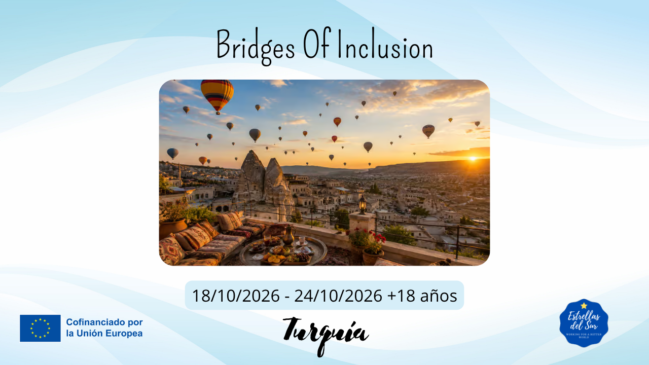 Imagen de Bridges of Inclusion