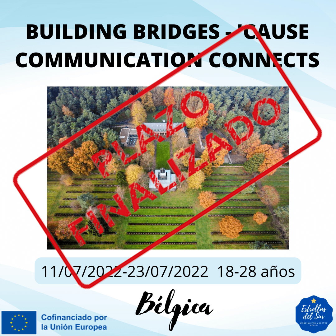 Imagen de Building Bridges - Cause Communication Connects
