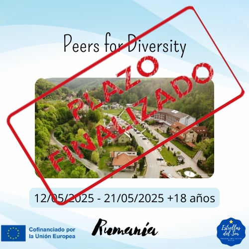 Imagen de Peers for Diversity