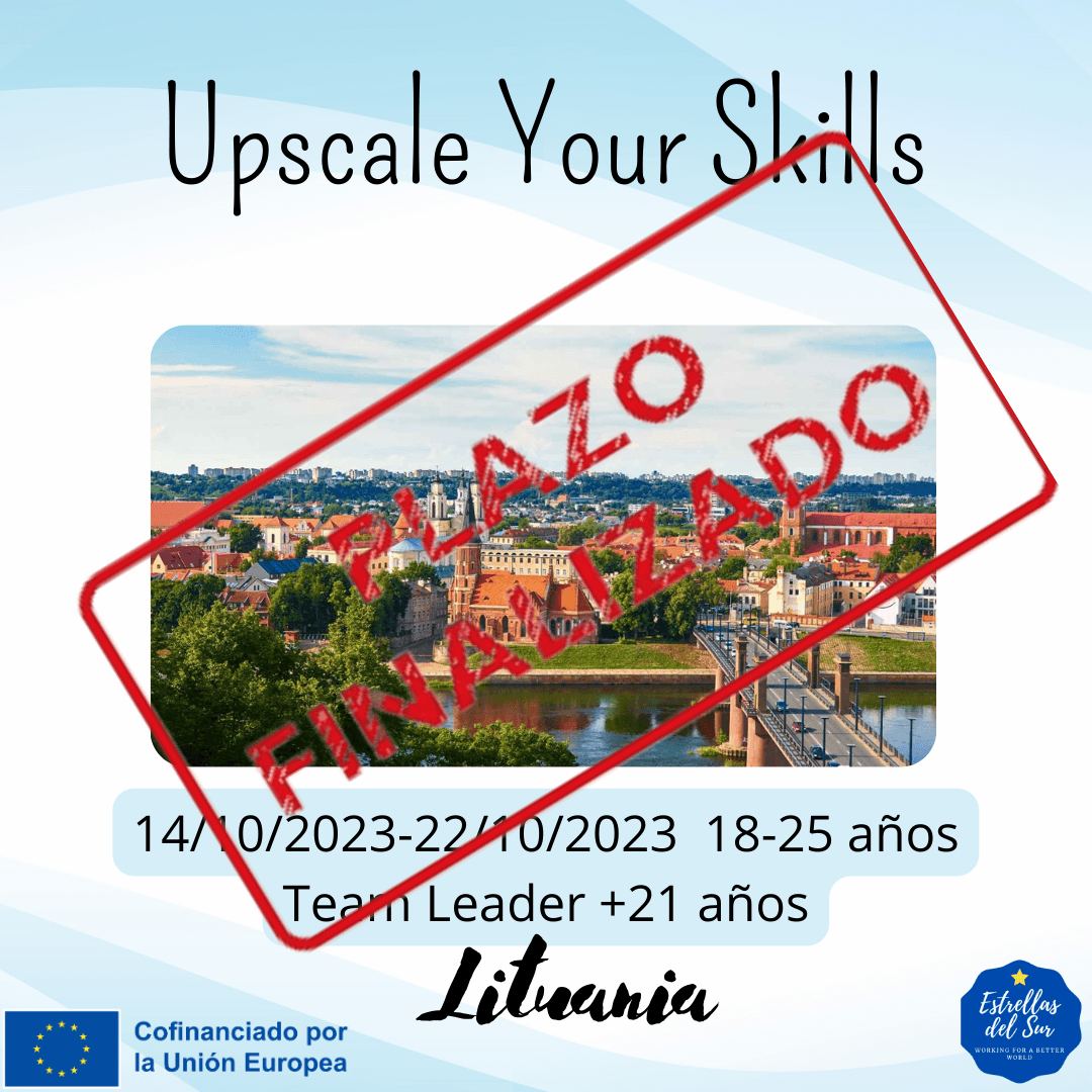 Imagen de Upscale Your Skills